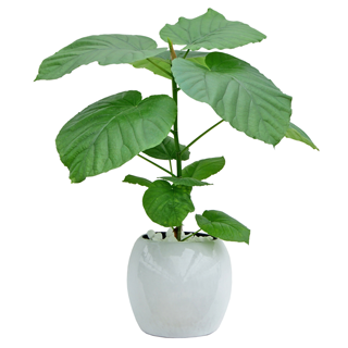 �E���x���[�^