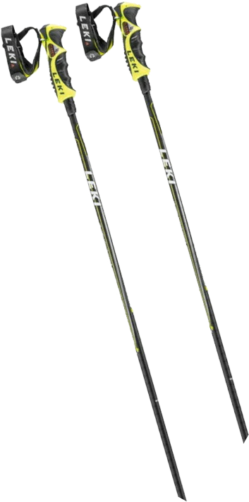 LEKI�i���L�j