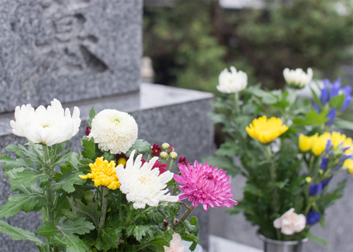 お墓のありなしによって異なる 納骨 埋葬の時期と費用 葬儀 価格 Com