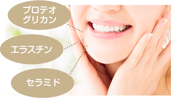 �v���e�I�O���J���E�G���X�`���E�Z���~�h