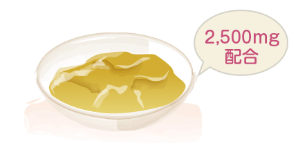 ���Z�x���b�`�A�b�v�R���[�Q���C���[�W