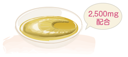 �t�J�q���R���[�Q���C���[�W