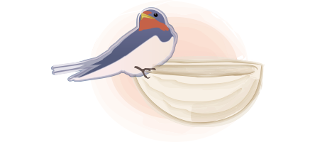 ���̑��C���[�W