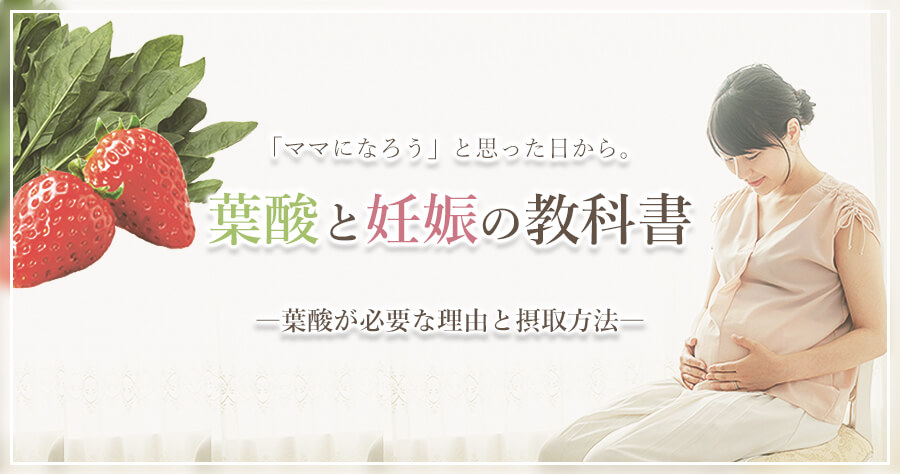 いつ摂取するか