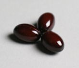 �x���^�t�_�}�J�v���X�@����