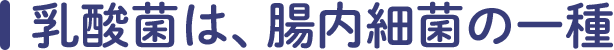 _ۂ́A׋ۂ̈
