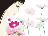 mariee&nbsp;vtB[摜