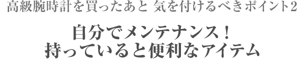 高級腕時計の買い方 使い方 高級腕時計特集 価格 Com